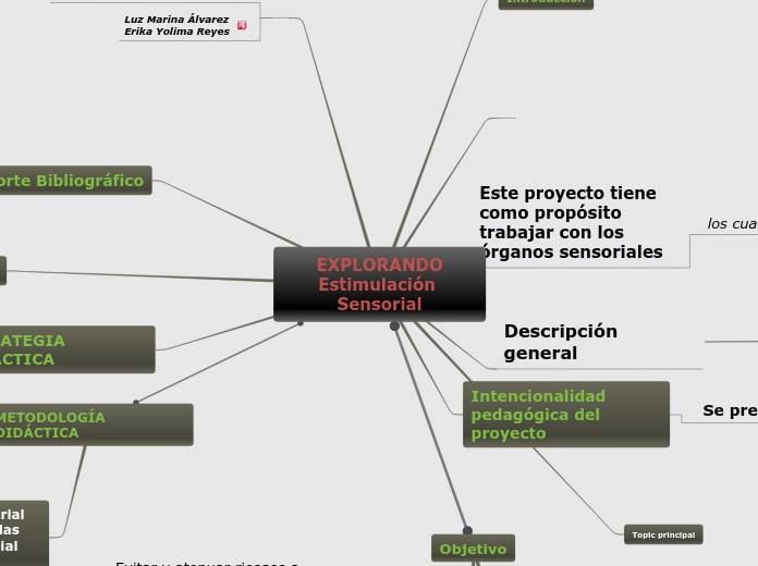 EXPLORANDO
Estimulación Sensorial - Mapa Mental