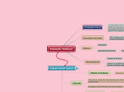 Domestic Violence - Mind Map