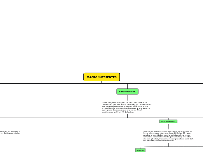 MACRONUTRIENTES