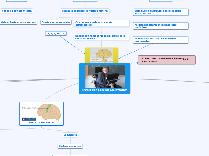 Esclerosis Lateral Amiotrofica - Mapa Mental