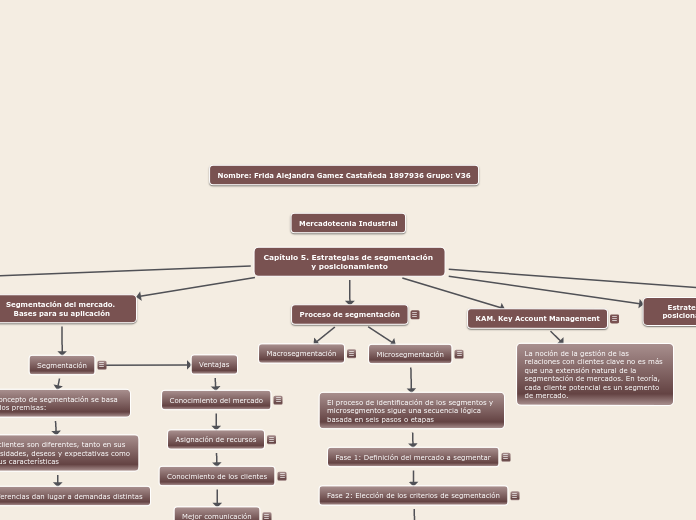 Capítulo 5. Estrategias de segmentación...- Mapa Mental