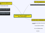 CIRCUITO PENAL JUDICIAL EN VENEZUELA - Mapa Mental