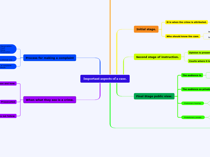 Important aspects of a case. - Mind Map