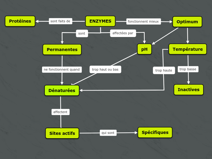 ENZYMES