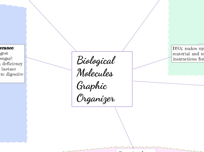 Biological Molecules 
Graphic Organizer