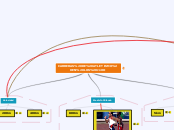 CARRERAS DE ATLETISMO EN LOS JJ.OO - Mapa Mental