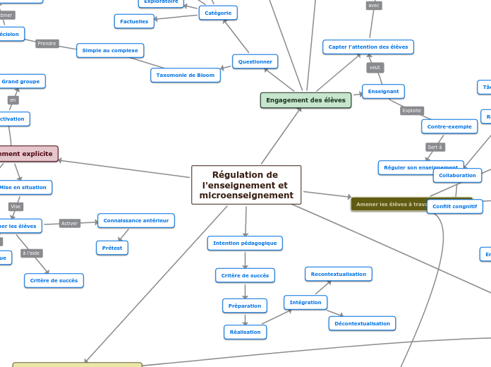 Régulation de l'enseignement et micro...- Carte Mentale