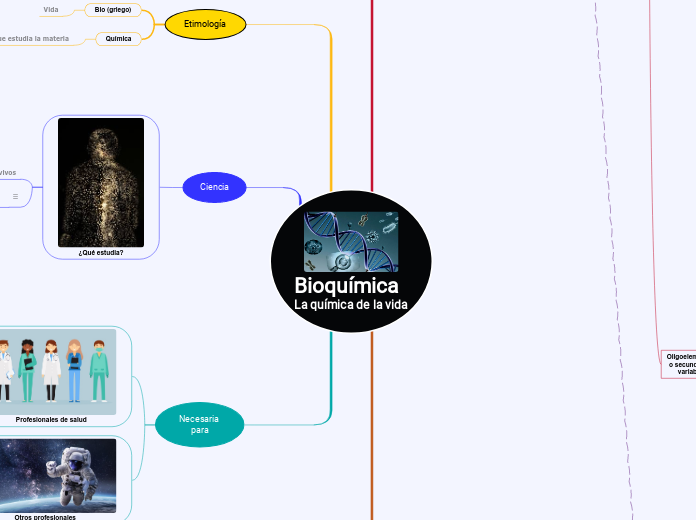 Bioquímica
La química de la vida - Mapa Mental