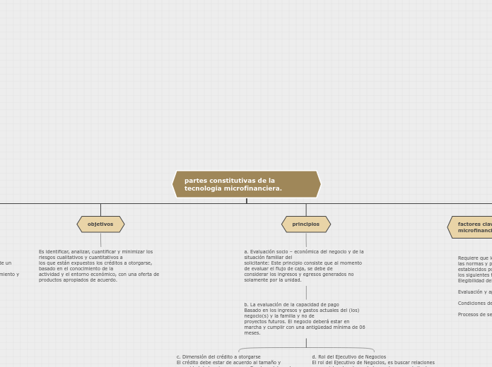 partes constitutivas de la tecnología microfinanciera.