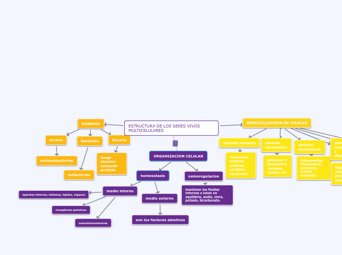 ESTRUCTURA DE LOS SERES VIVOS     MULTICELULARES