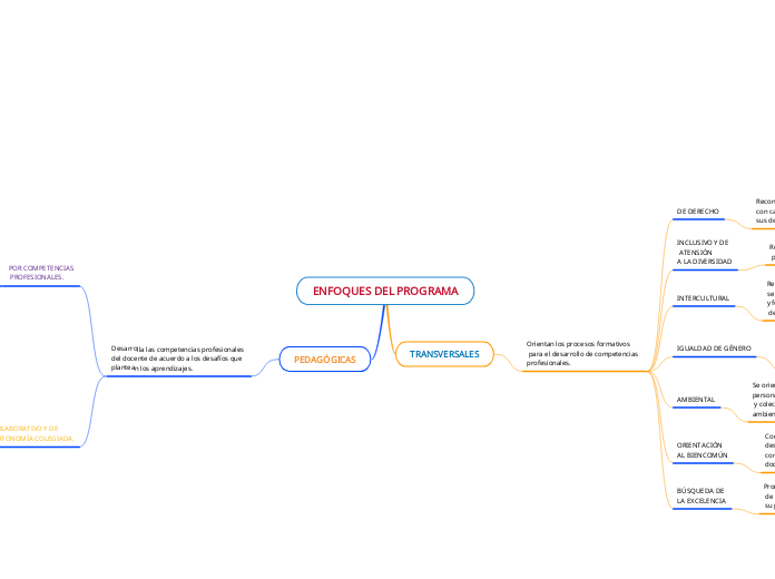 ENFOQUES DEL PROGRAMA