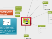 MyPlate nutrients