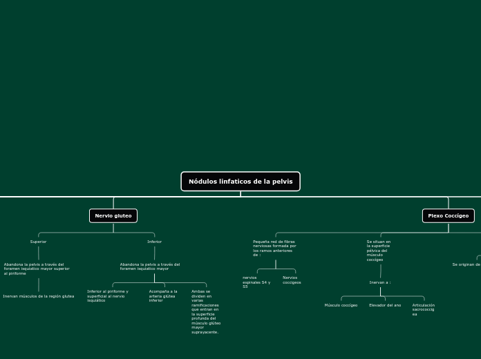 Nódulos linfaticos de la pelvis - Mapa Mental