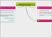 Microorganisms in Marine and Freshwater Ecosystem