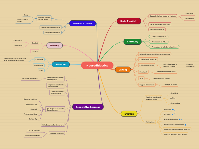 Neurodidactics