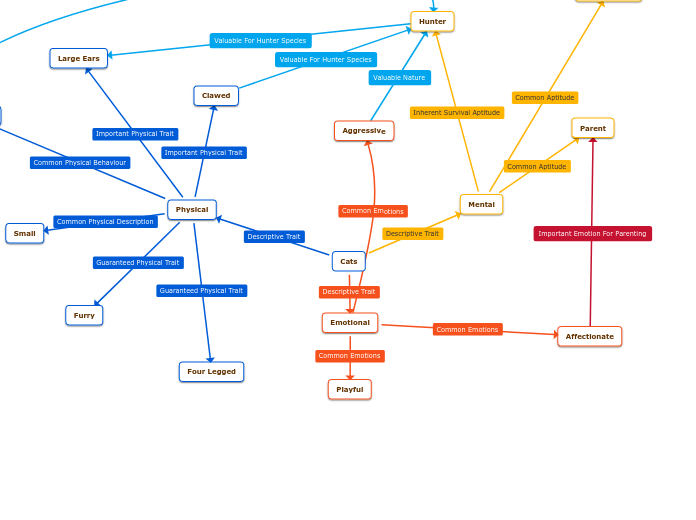 Cats - Mind Map