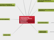 INVESTIGACIÓN, COMPONENTE BÁSICO  EN PR...- Mapa Mental