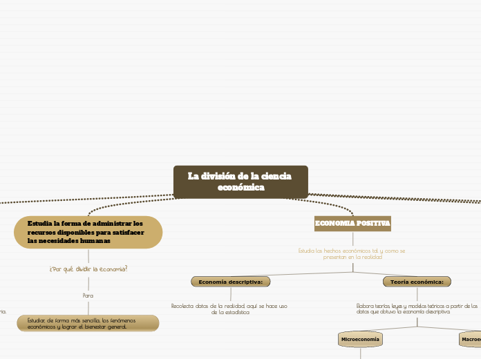 La división de la ciencia económica