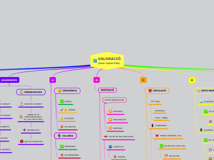 VALORACIÓ BÀSICA D'UN PACIENT(Oscar Tapiola Peña)