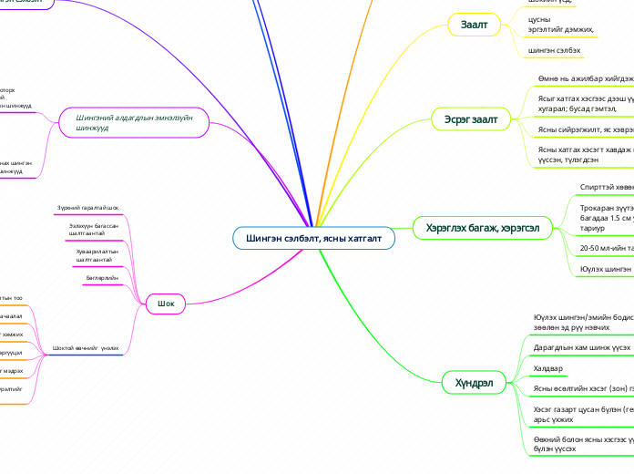 Шингэн сэлбэлт, ясны хатгалт - Мыслительная карта