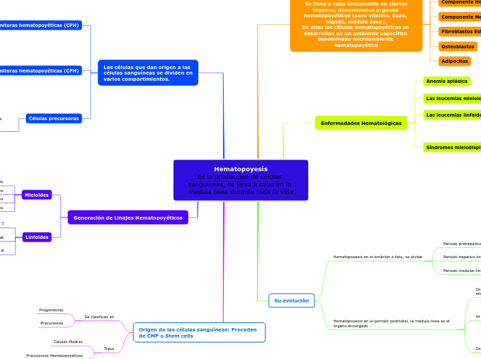 Hematopoyesis
Es la producción de células sanguíneas, se lleva a cabo en la medula ósea durante toda la vida