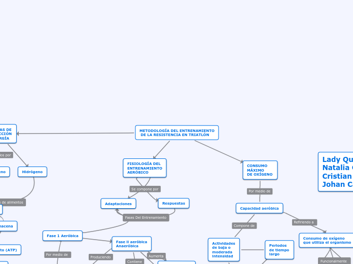 METODOLOGÍA DEL ENTRENAMIENTO
 DE LA RE...- Mapa Mental