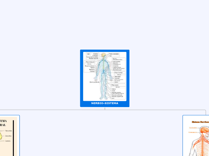 NERBIO-SISTEMA - Mindmap