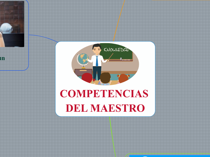 COMPETENCIAS DEL MAESTRO