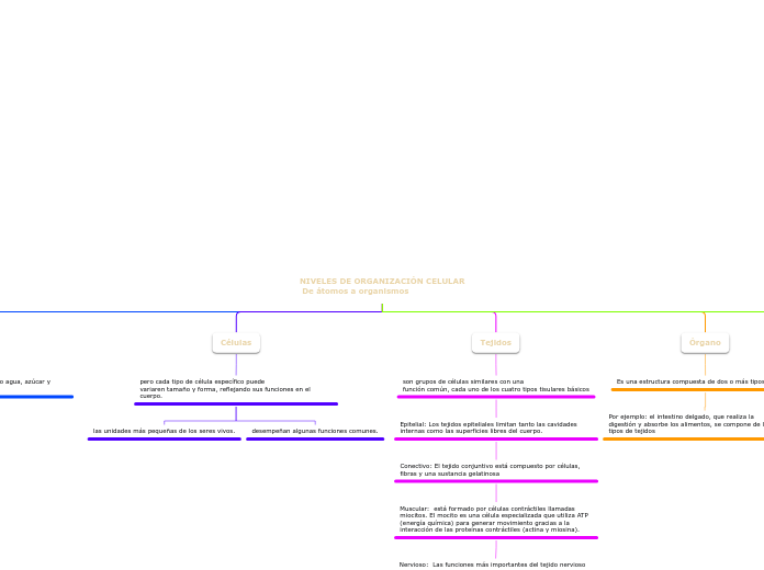 NIVELES DE ORGANIZACIÓN CELULAR
 De átomos a organismos