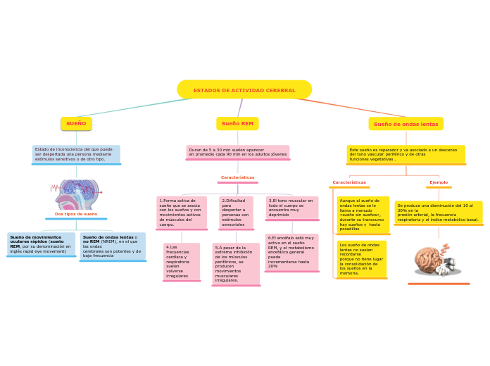 ESTADOS DE ACTIVIDAD CEREBRAL - Mapa Mental