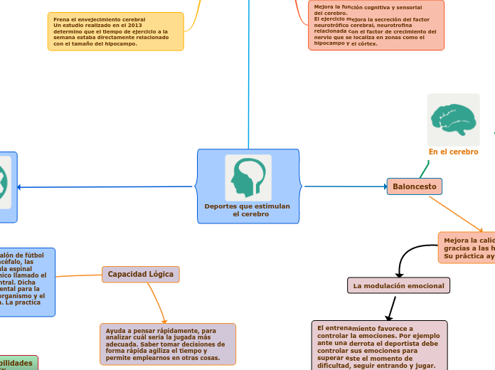 Deportes que estimulan 
             el cerebro