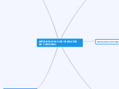 METABOLISMO DE HIDRATOS DE CARBONO - Mapa Mental
