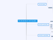 Fundamentos de la búsqueda - Mapa Mental