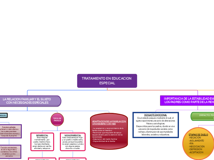 TRATAMIENTO EN EDUCACION ESPECIAL - Mapa Mental