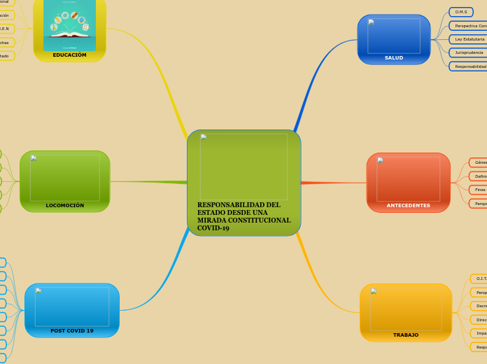RESPONSABILIDAD DEL
ESTADO DESDE UNA
MIRADA CONSTITUCIONAL
COVID-19