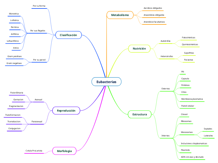 Eubacterias - Mapa Mental