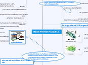 EUKARYOTIC CELL