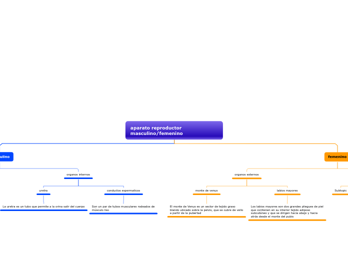 aparato reproductor masculino/femenino - Mapa Mental