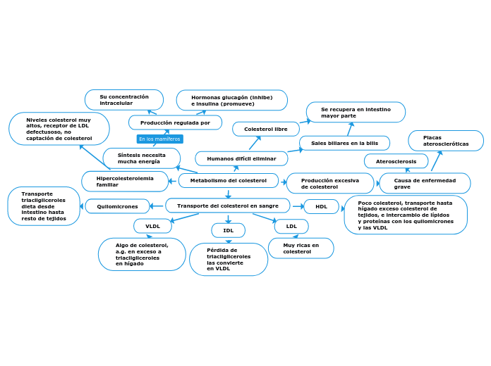 Metabolismo del colesterol