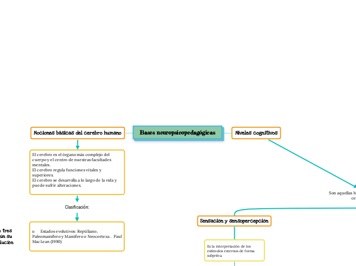 Bases neuropsicopedagógicas