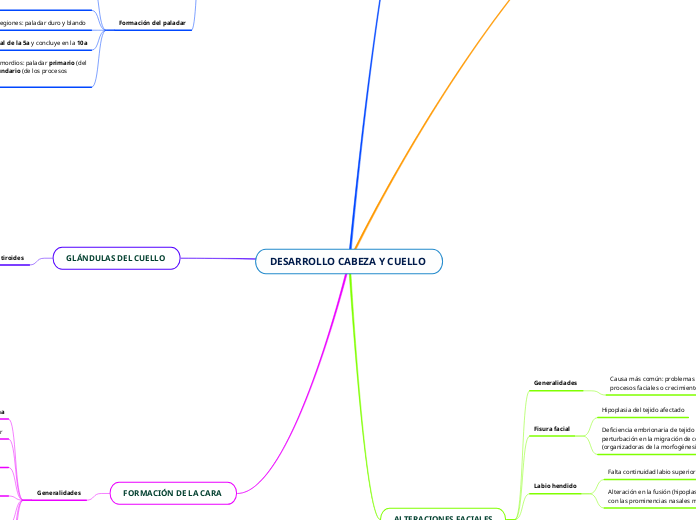 DESARROLLO CABEZA Y CUELLO 