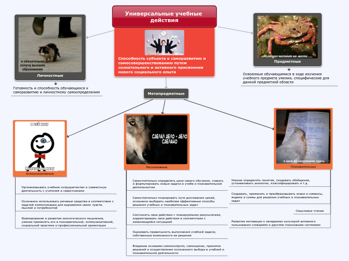 Sample Mind Map