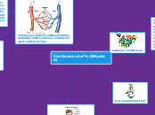 Cardiovascular System - Mind Map