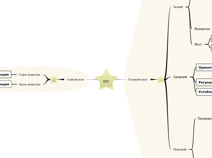 ЦНС - Мыслительная карта