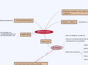 Proceso metodologico en TS