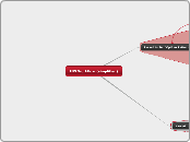 INS Workflow (simplified)