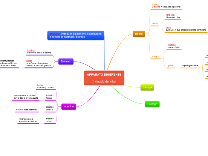 APPARATO DIGERENTE
+
Il viaggio del c...- Mappa Mentale