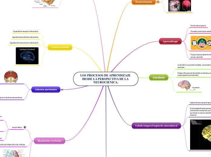 LOS PROCESOS DE APRENDIZAJE DESDE LA PERSPECTIVA DE LA NEUROCIENICA.