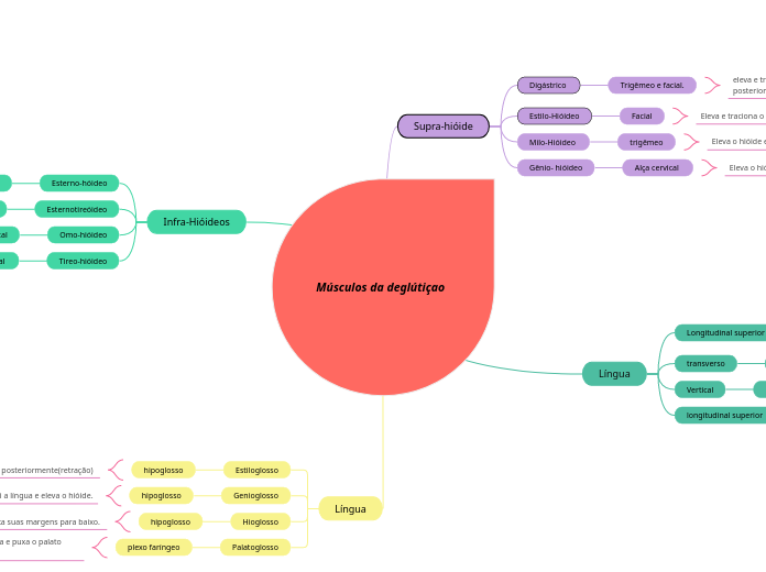 Músculos da deglútiçao 