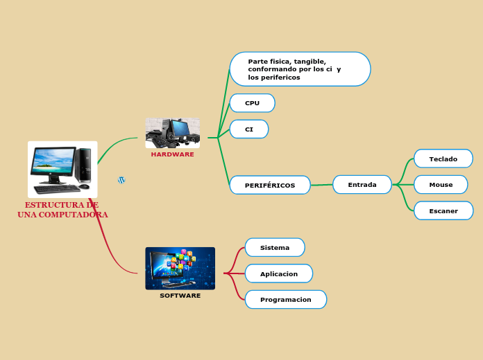 ESTRUCTURA DE 
UNA COMPUTADORA